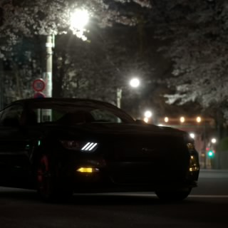 alex90lv