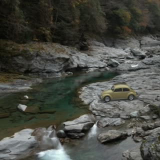 Nguyenbatistutam