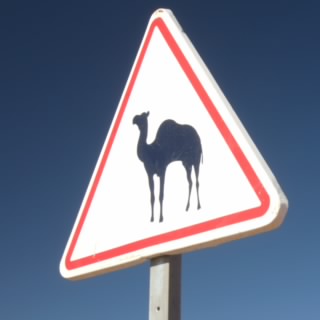 zarsantez