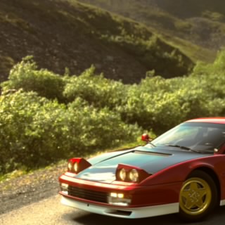Senna_King#1