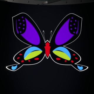 Exotic Butterfly