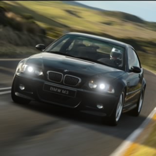 LgT11