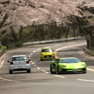 たすポン