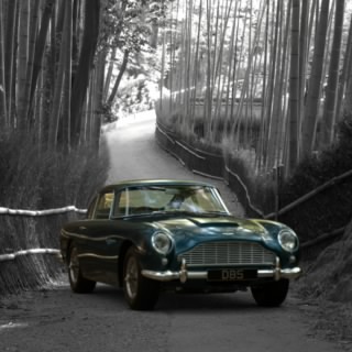 @bloefoxCars