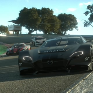 The stig