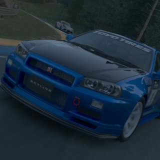 Tyler300