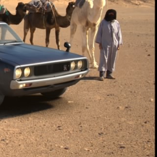 ديتول §