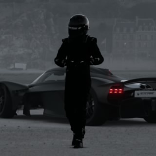 Ali-313