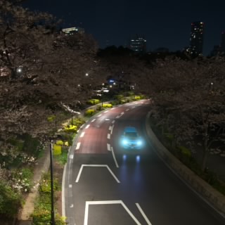 RYO