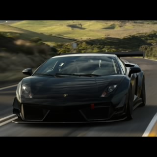 DaniloCane15