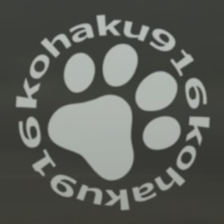 kohaku916