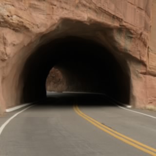 Driver