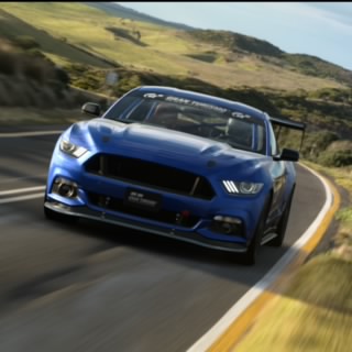 Shanebennett23