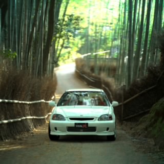 山卡卡莽子车神