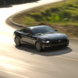 The Stig