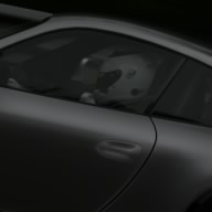 The Stig