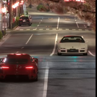 Ridjust