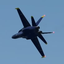 Taikei351