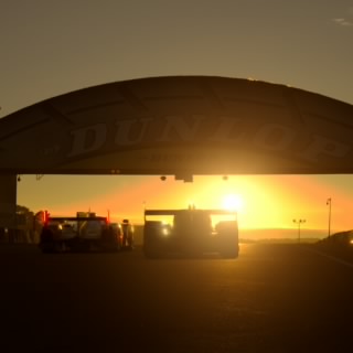 Dinafen