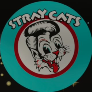 StrayCat