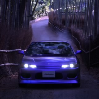 FreddyZ