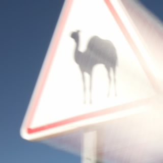 303