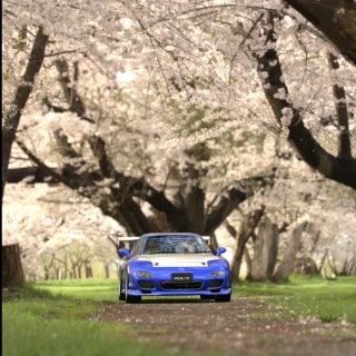 Vinc_JDM