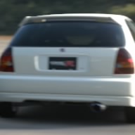 タコイカエビ