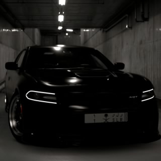 5TM