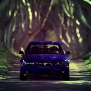 Gunnertiger//12 