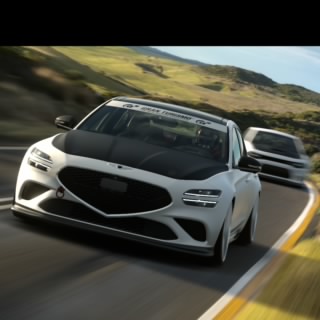 Bingo310