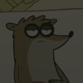 MysteryMrRaccoon