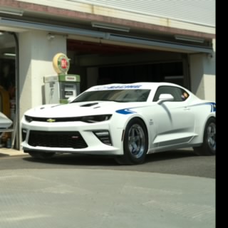 One Sick Vette