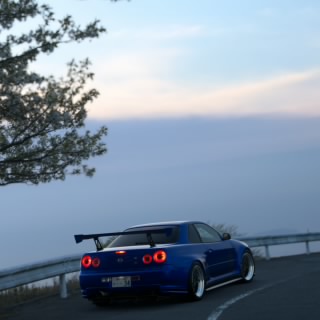 ウサギ丸