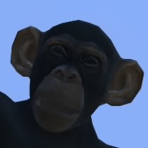 bulkebeest