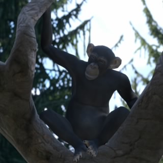 B.Moura79