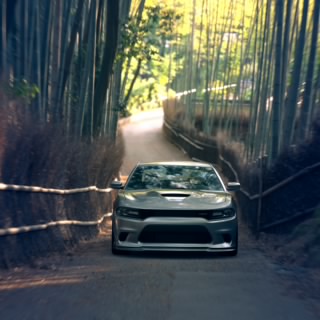 Speed