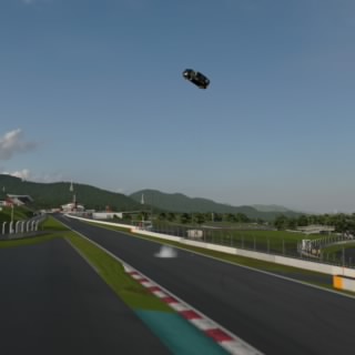 ヤンバルクイナ