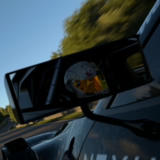 The Stig