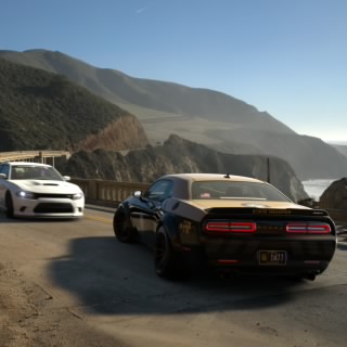 Taco_631