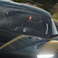 Klf12v