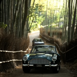 老九