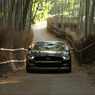 TeamOpa Racer