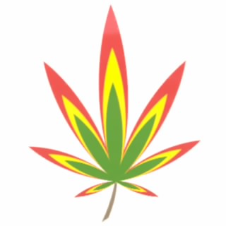 Joe Smoke A Lot