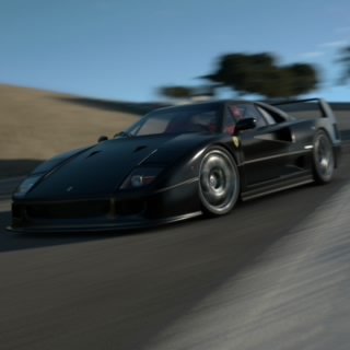 TGR_gvialli207