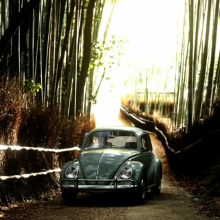 Senna Brasil
