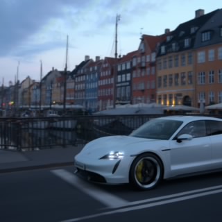 Borsuk 666