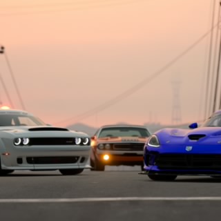 The Stig
