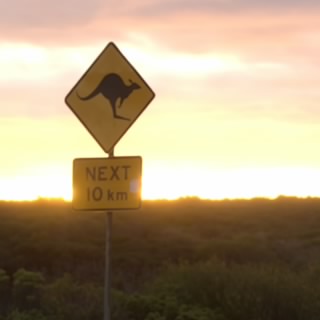 GT_BOA_78