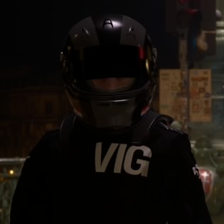 Vig